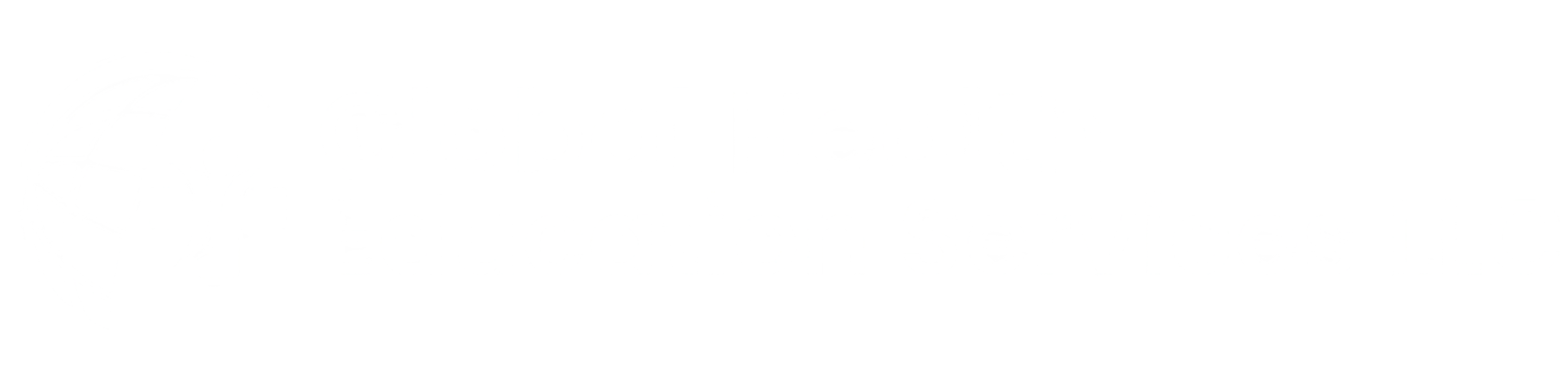 Global Health Education Services LLC